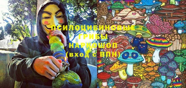 крисы Нефтекумск