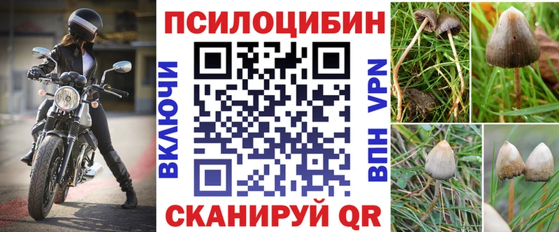 Галлюциногенные грибы мухоморы  Избербаш 