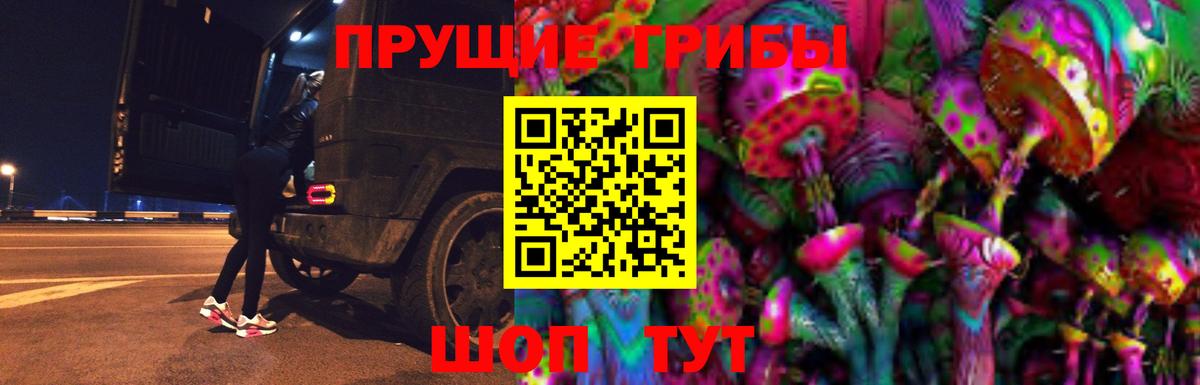 Псилоцибиновые грибы мицелий  Избербаш 