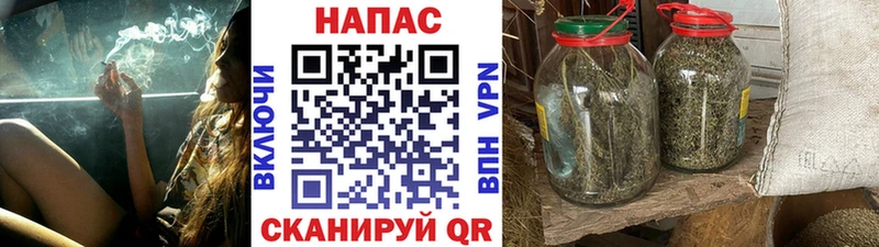 mega как войти  магазин продажи наркотиков  Избербаш  Бошки марихуана конопля 